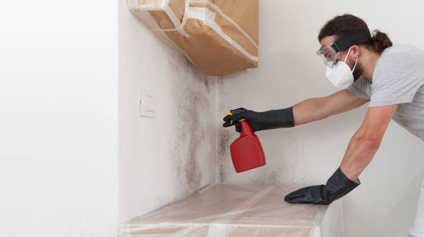Professional Mold Remediation technician working in Keasbey, NJ