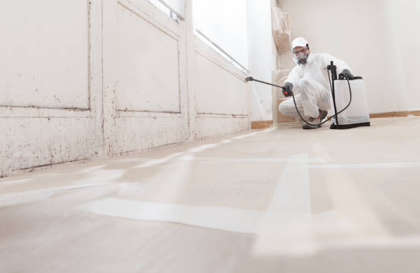24/7 Emergency Mold Remediation experts in Keasbey, NJ