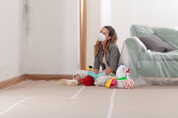 Trusted Mold Remediation service in Keasbey, NJ - Cheap Mold Removal